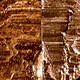Comparison Microscope