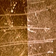 Comparison Microscope
